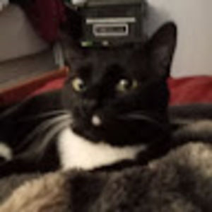 Meet your Posher, Kailey